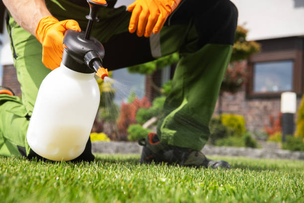 Best Commercial Pest Control Services  in Holly, MI