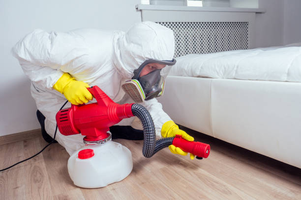 Best Wasp Removal Services  in Holly, MI