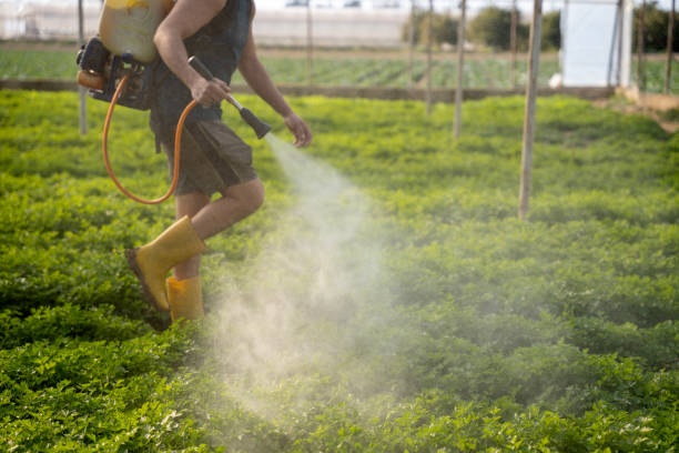 Best Best Pest Control Companies  in Holly, MI