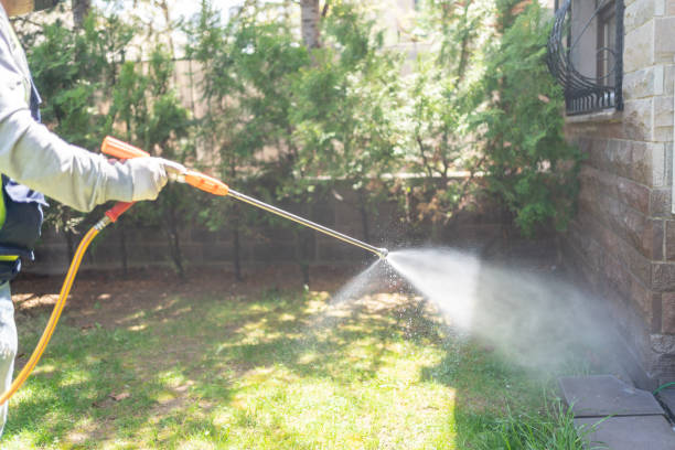 Reliable Holly, MI Pest Control Solutions