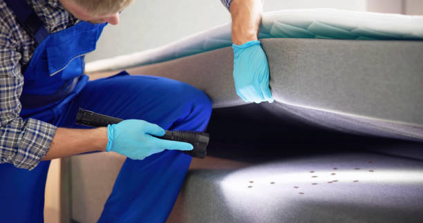 Best Mosquito Control Services  in Holly, MI