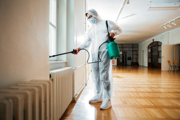 Best Flea Control Services  in Holly, MI