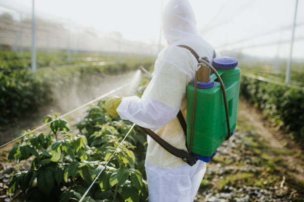 Best Pest Prevention Services  in Holly, MI